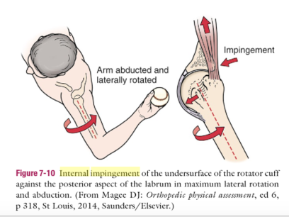 Task and knowledgement mangement workflow diagram